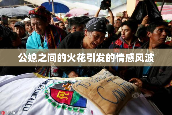 公媳之间的火花引发的情感风波