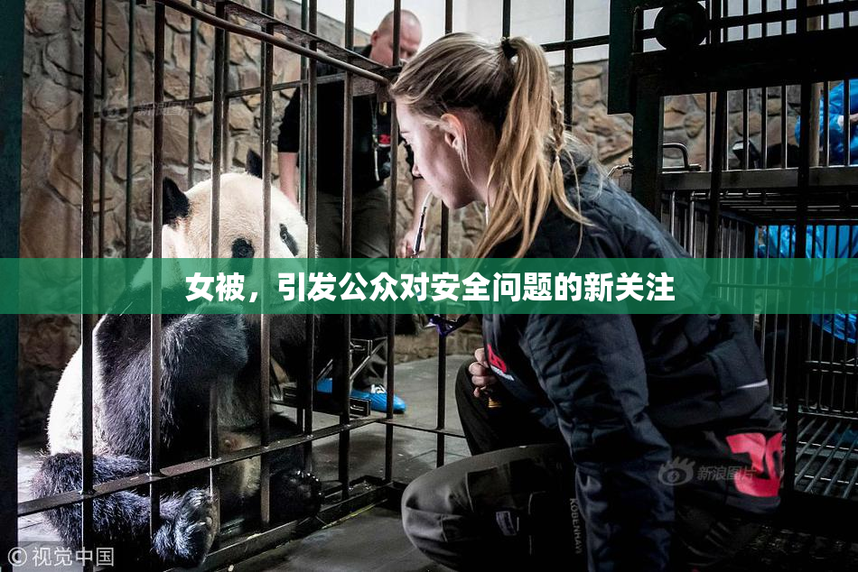 女被，引发公众对安全问题的新关注
