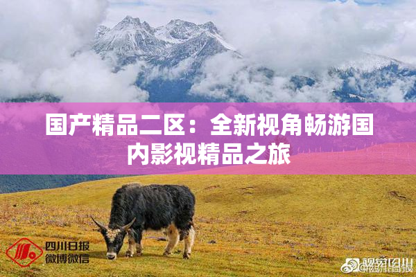 国产精品二区：全新视角畅游国内影视精品之旅