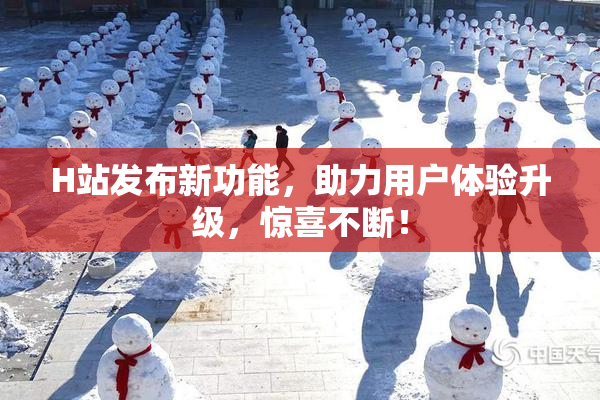 H站发布新功能，助力用户体验升级，惊喜不断！