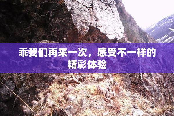 乖我们再来一次，感受不一样的精彩体验