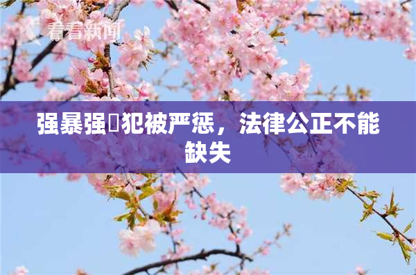 强暴强姦犯被严惩，法律公正不能缺失