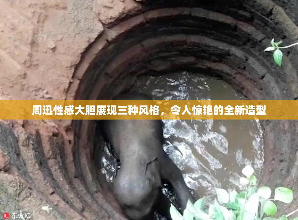 周迅性感大胆展现三种风格，令人惊艳的全新造型