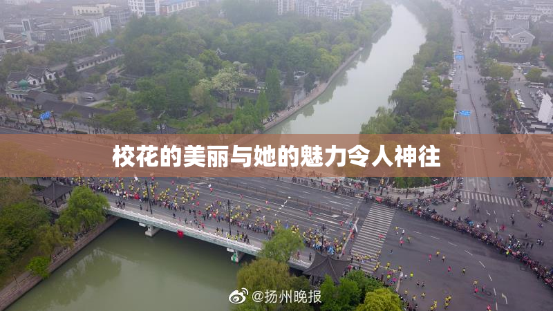 校花的美丽与她的魅力令人神往