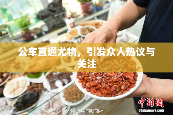 公车直通尤物，引发众人热议与关注