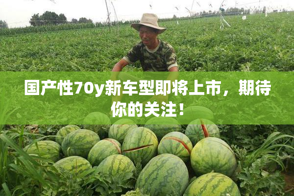 国产性70y新车型即将上市，期待你的关注！