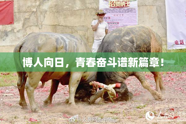 博人向日，青春奋斗谱新篇章！