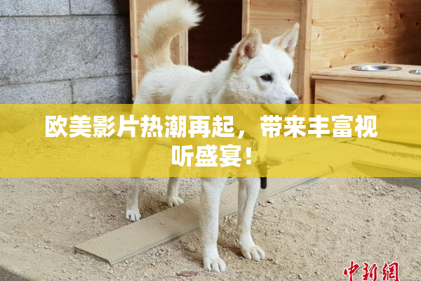 欧美影片热潮再起，带来丰富视听盛宴！