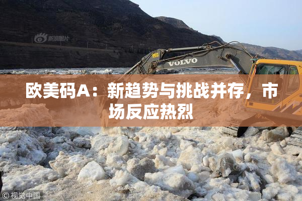 欧美码A：新趋势与挑战并存，市场反应热烈