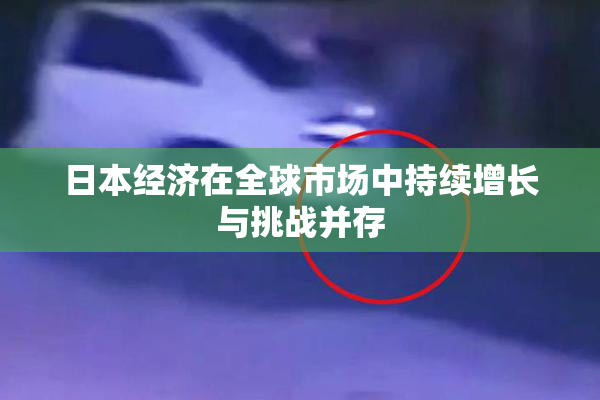 日本经济在全球市场中持续增长与挑战并存