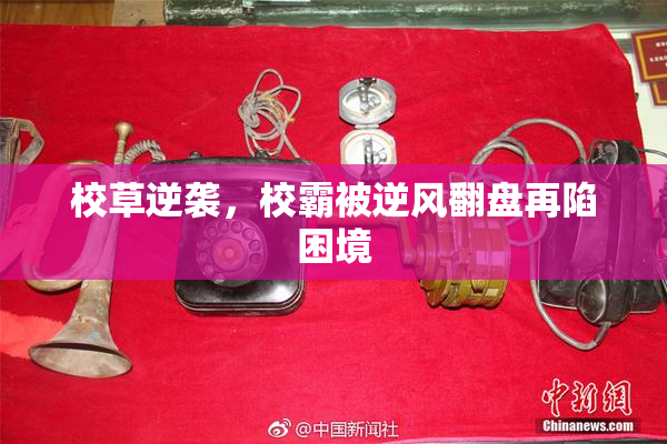 校草逆袭，校霸被逆风翻盘再陷困境