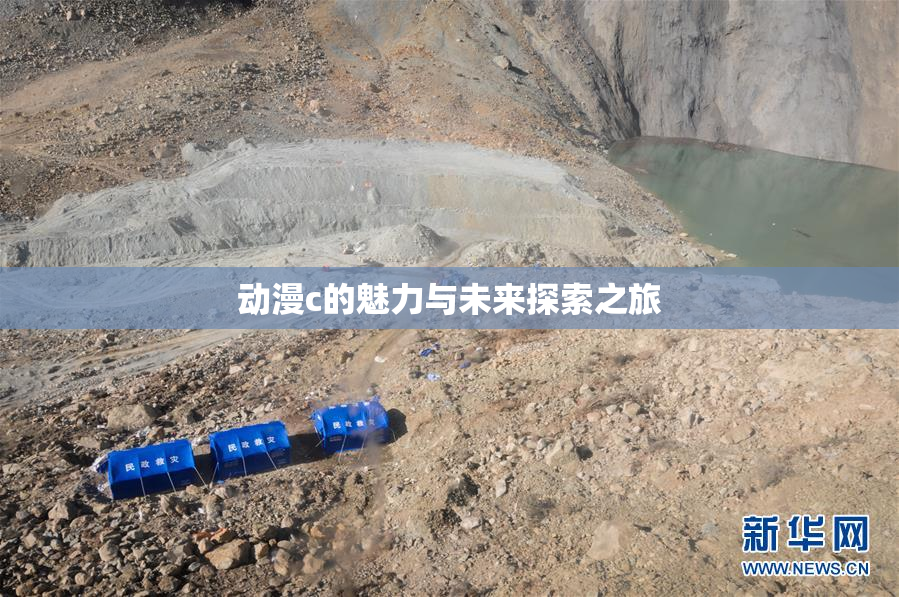 动漫c的魅力与未来探索之旅
