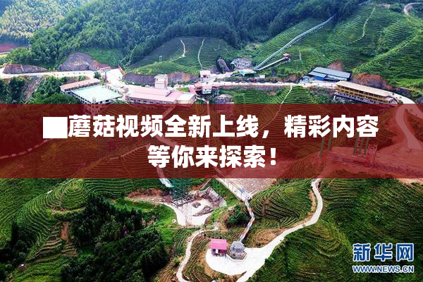 ▇蘑菇视频全新上线，精彩内容等你来探索！