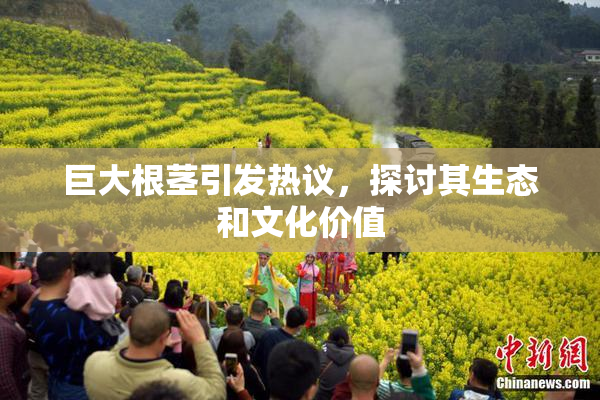 巨大根茎引发热议，探讨其生态和文化价值