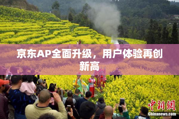 京东AP全面升级，用户体验再创新高