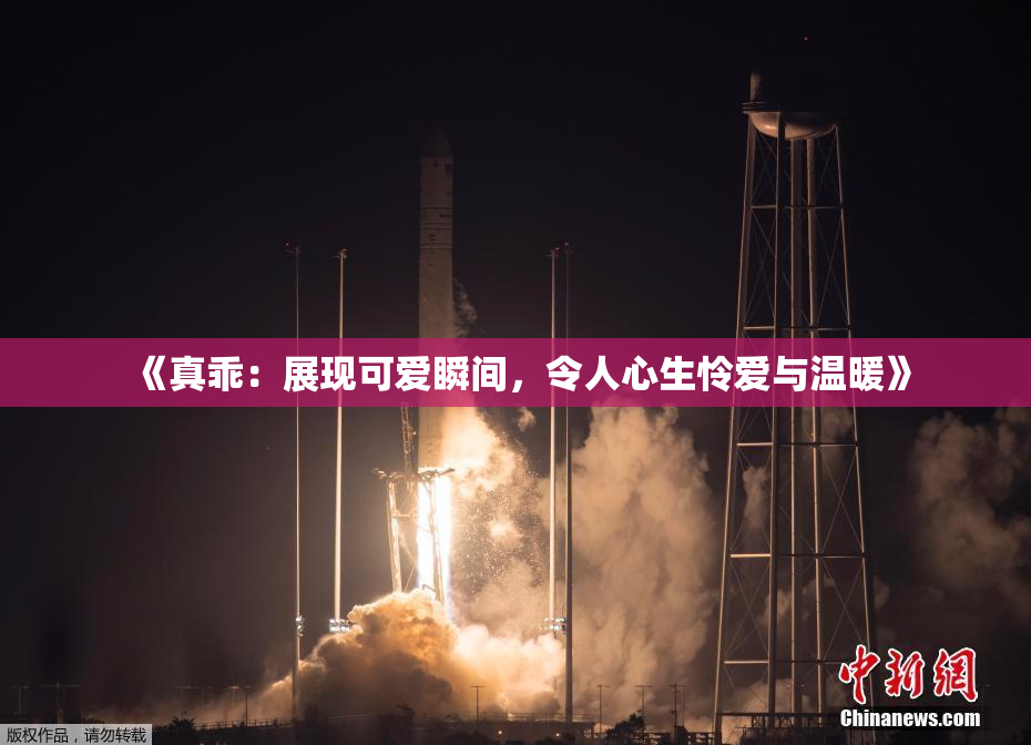 《真乖：展现可爱瞬间，令人心生怜爱与温暖》