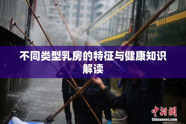 不同类型乳房的特征与健康知识解读