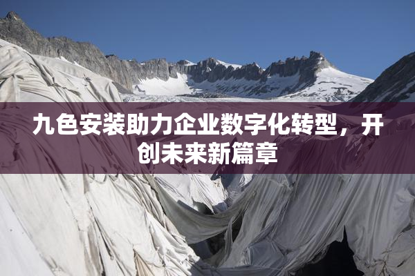 九色安装助力企业数字化转型，开创未来新篇章