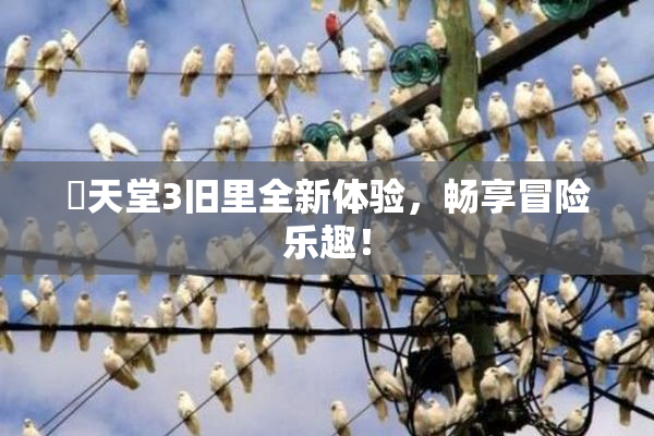 妺天堂3旧里全新体验，畅享冒险乐趣！
