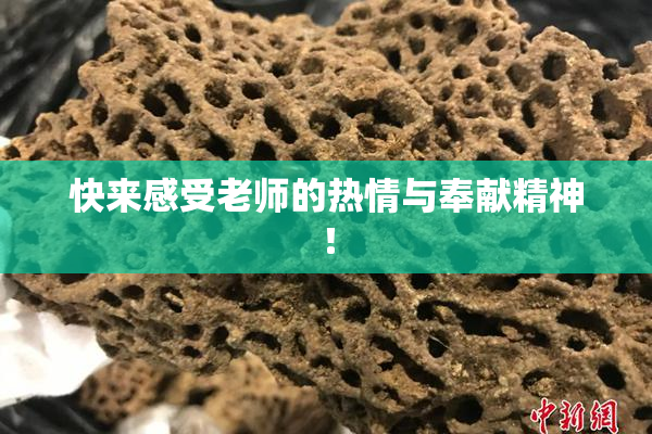 快来感受老师的热情与奉献精神！