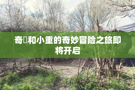 奇犽和小重的奇妙冒险之旅即将开启