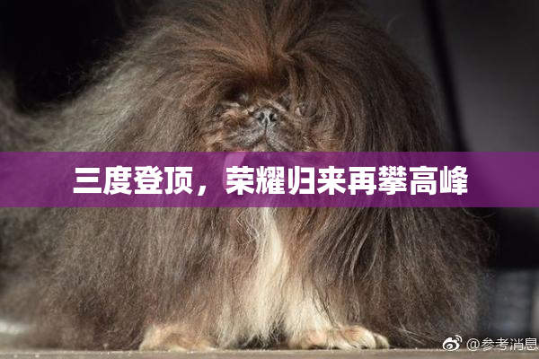 三度登顶，荣耀归来再攀高峰