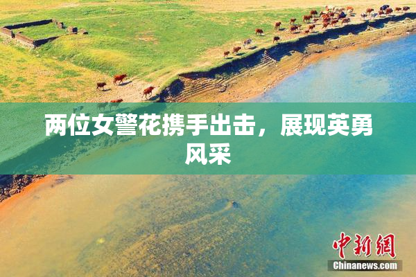 两位女警花携手出击，展现英勇风采