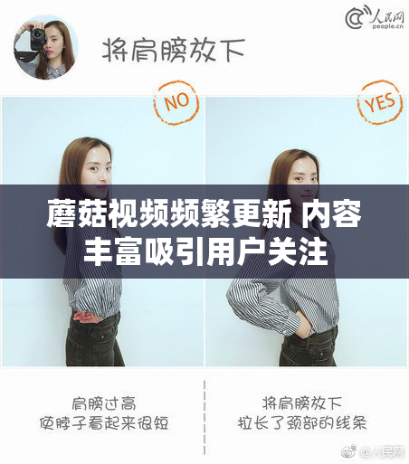 蘑菇视频频繁更新 内容丰富吸引用户关注