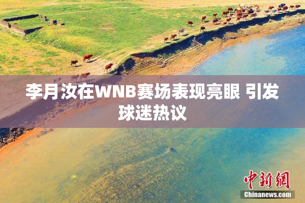 李月汝在WNB赛场表现亮眼 引发球迷热议