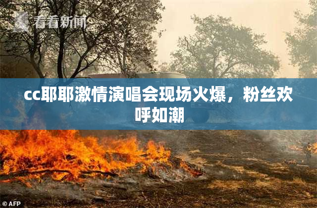cc耶耶激情演唱会现场火爆，粉丝欢呼如潮