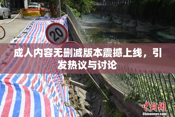 成人内容无删减版本震撼上线，引发热议与讨论