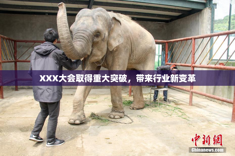 XXX大会取得重大突破，带来行业新变革