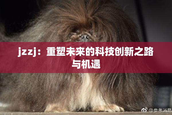 jzzj：重塑未来的科技创新之路与机遇