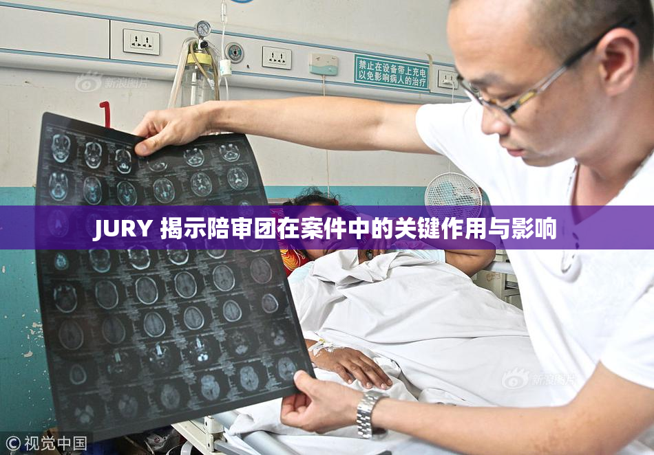 JURY 揭示陪审团在案件中的关键作用与影响