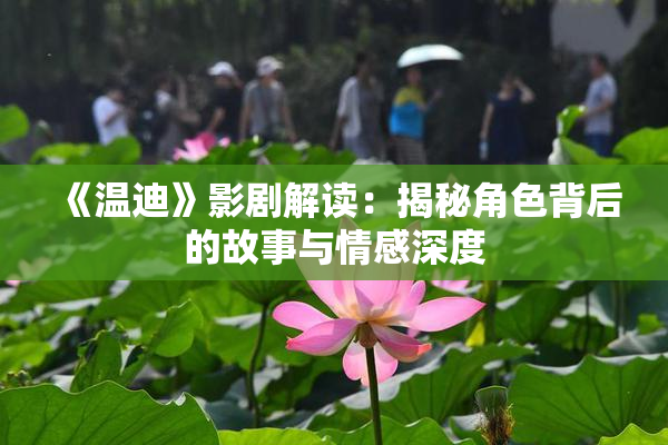 《温迪》影剧解读：揭秘角色背后的故事与情感深度