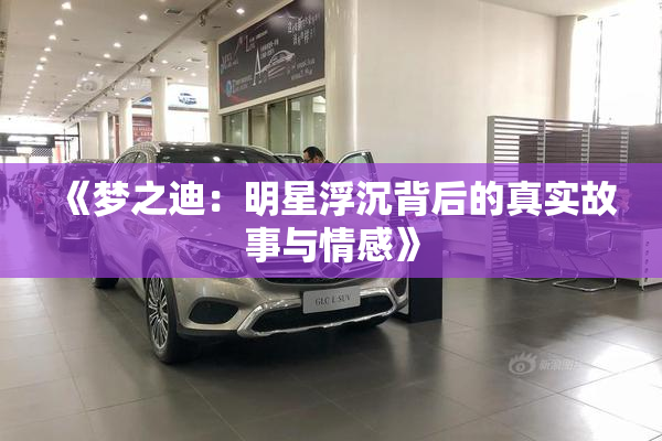 《梦之迪：明星浮沉背后的真实故事与情感》