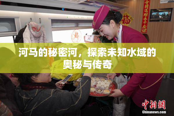 河马的秘密河，探索未知水域的奥秘与传奇