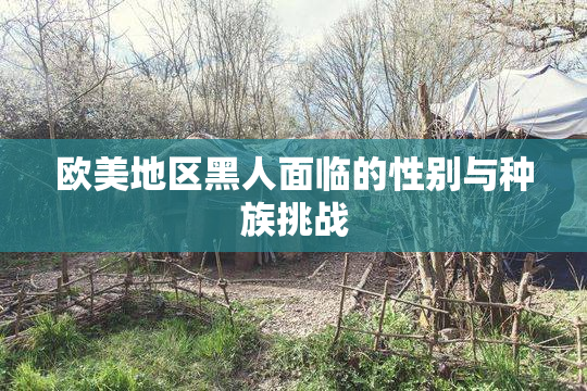 欧美地区黑人面临的性别与种族挑战