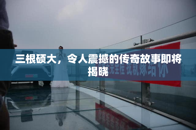 三根硕大，令人震撼的传奇故事即将揭晓