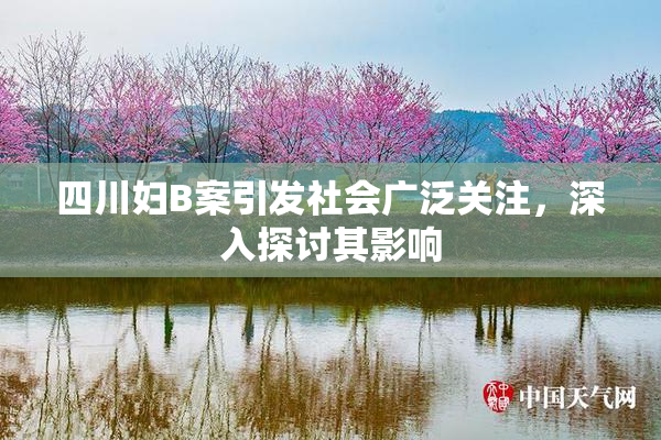 四川妇B案引发社会广泛关注，深入探讨其影响