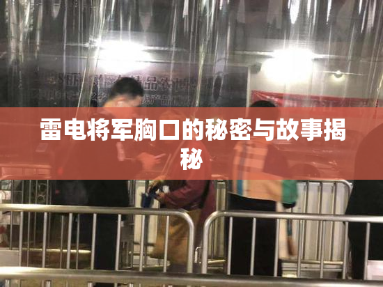 雷电将军胸口的秘密与故事揭秘