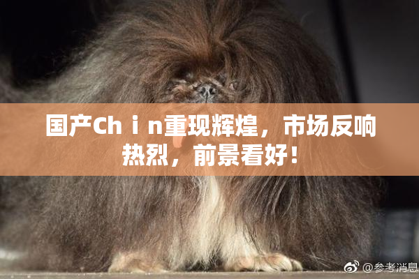 国产Chⅰn重现辉煌，市场反响热烈，前景看好！