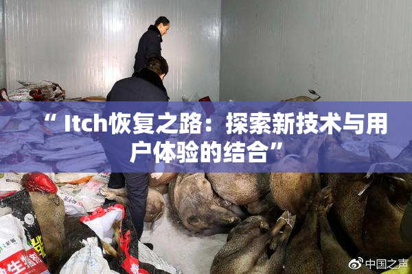 “ Itch恢复之路：探索新技术与用户体验的结合”