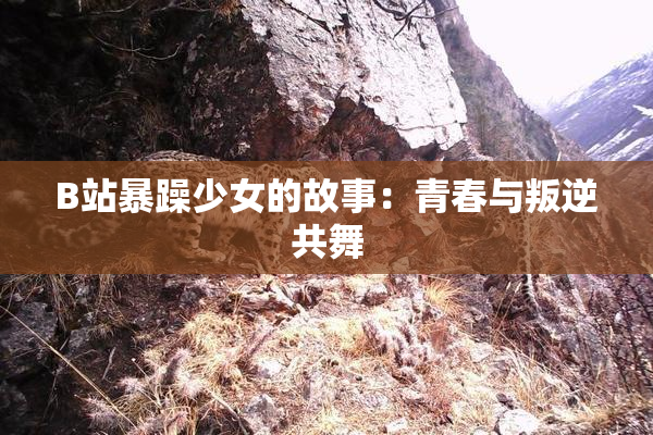 B站暴躁少女的故事：青春与叛逆共舞