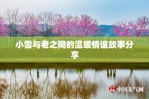 小雪与老之间的温暖情谊故事分享