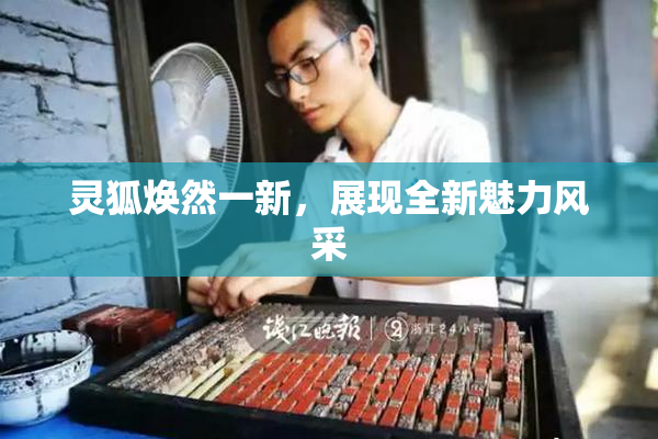 灵狐焕然一新，展现全新魅力风采