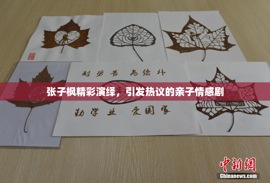 张子枫精彩演绎，引发热议的亲子情感剧