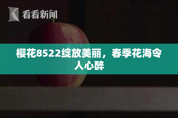樱花8522绽放美丽，春季花海令人心醉
