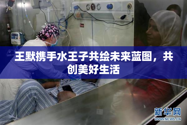 王默携手水王子共绘未来蓝图，共创美好生活