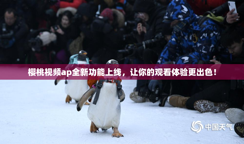 樱桃视频ap全新功能上线，让你的观看体验更出色！